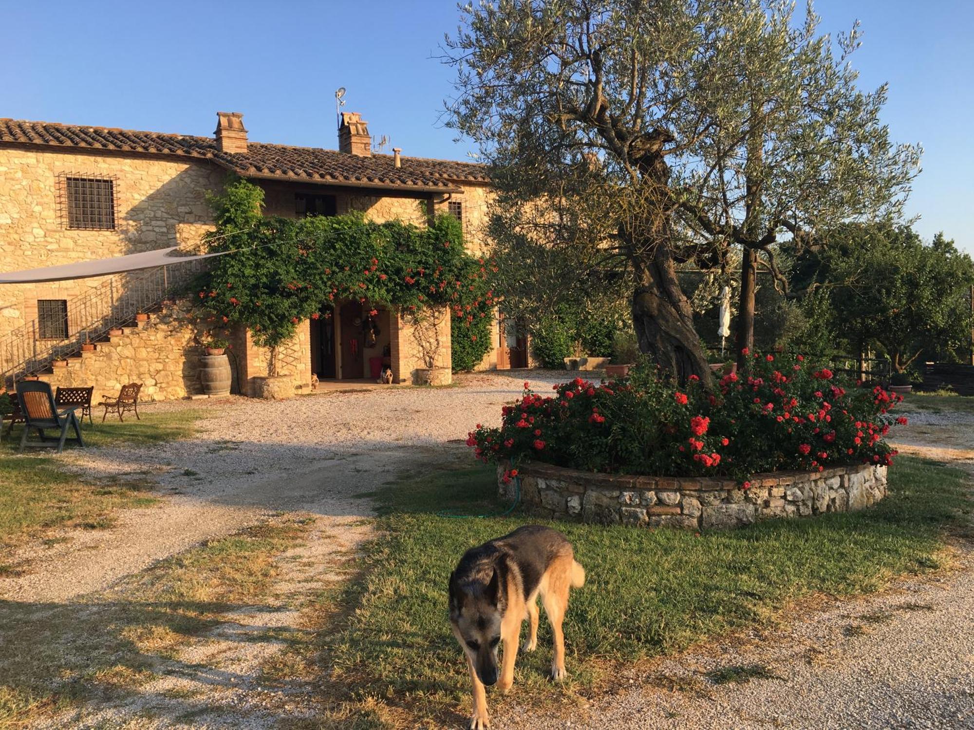 Agriturismo Podere Dell' Olmo Amelia Exterior foto