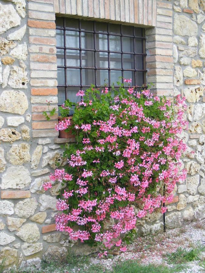 Agriturismo Podere Dell' Olmo Amelia Exterior foto